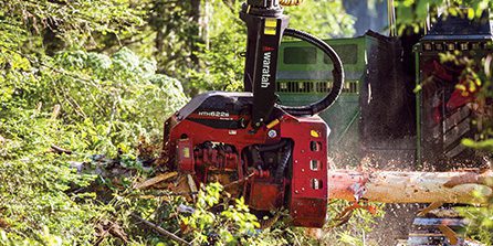 HTH622B Series-III harvester head cutting log
