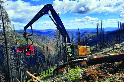 Volcano Creek Logging