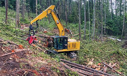 Waratah head working on wildfire mitigation